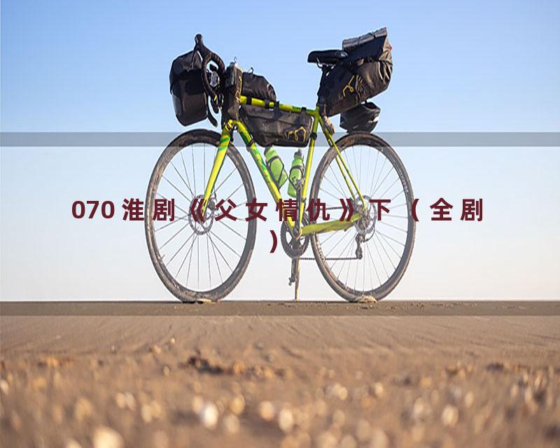 070 淮剧《父女情仇》下（全剧）