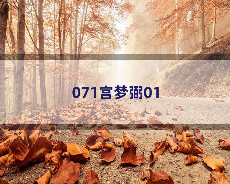 071宫梦弼01