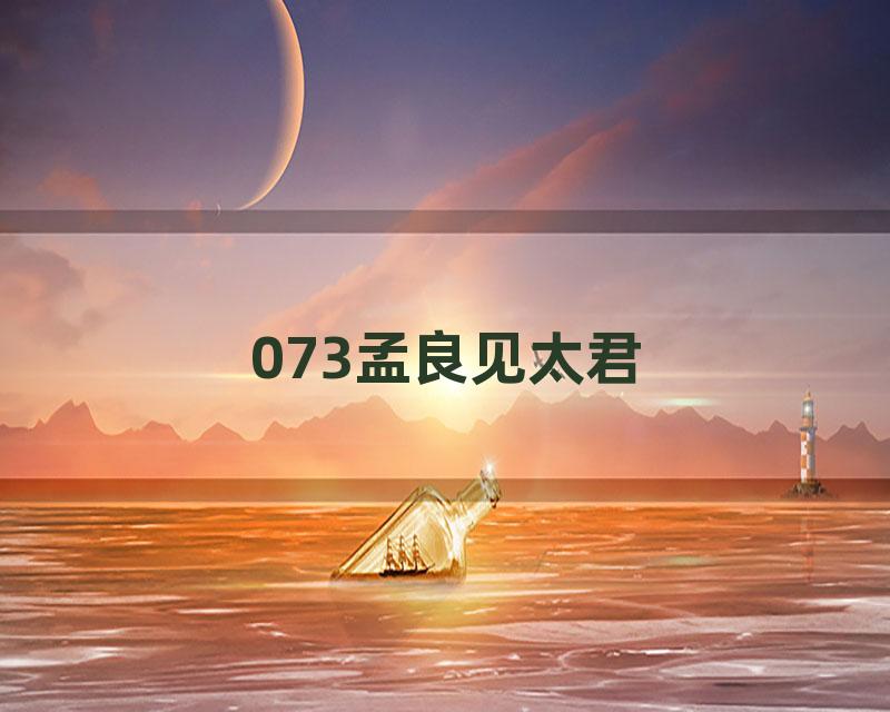 073孟良见太君