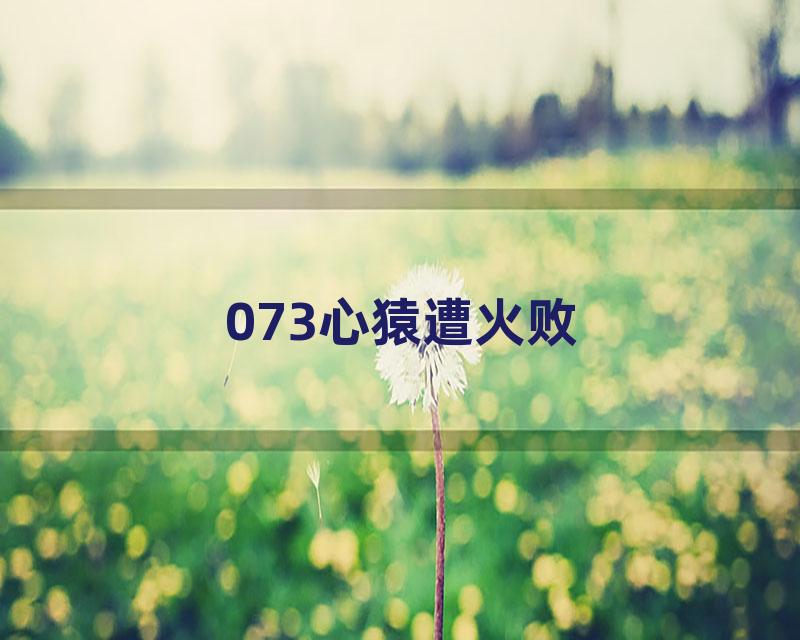 073心猿遭火败