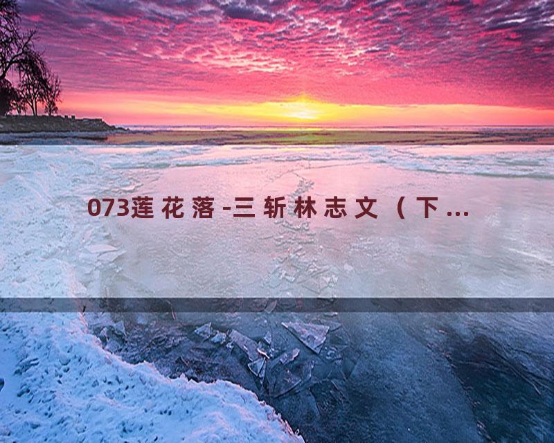 073莲花落-三斩林志文（下...