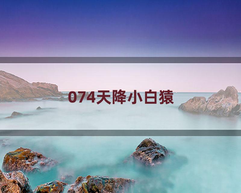 074天降小白猿