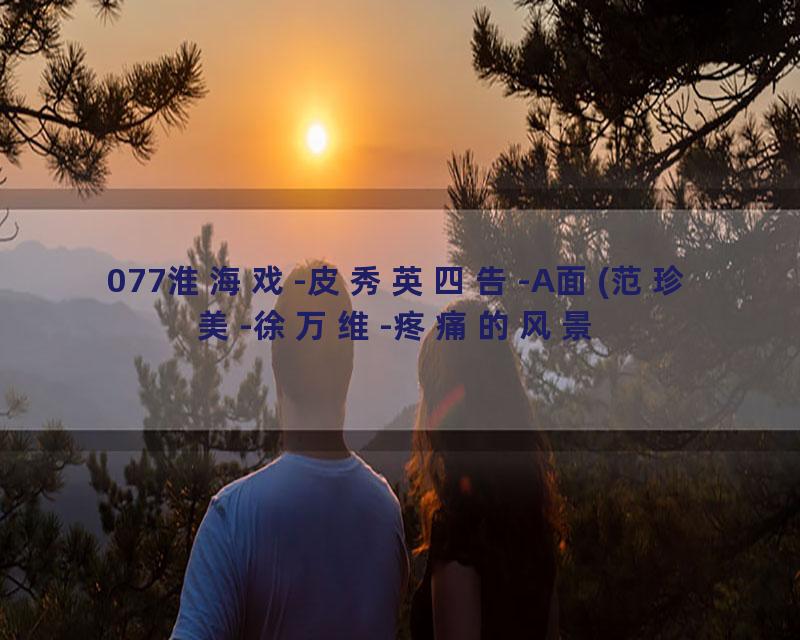 077淮海戏-皮秀英四告-A面(范珍美-徐万维-疼痛的风景