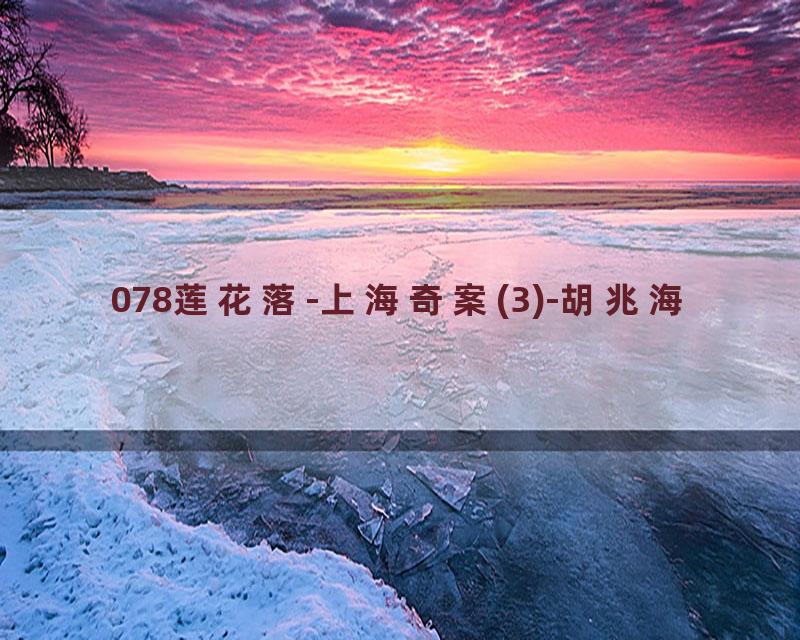 078莲花落-上海奇案(3)-胡兆海