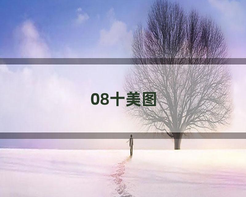 08十美图