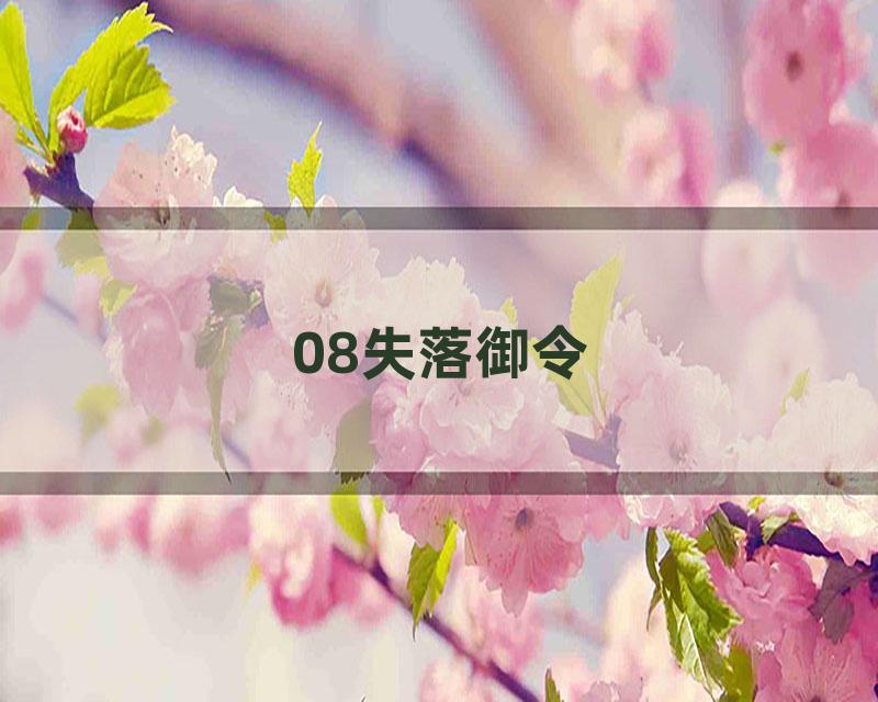 08失落御令