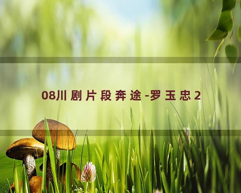 08川剧片段奔途-罗玉忠2