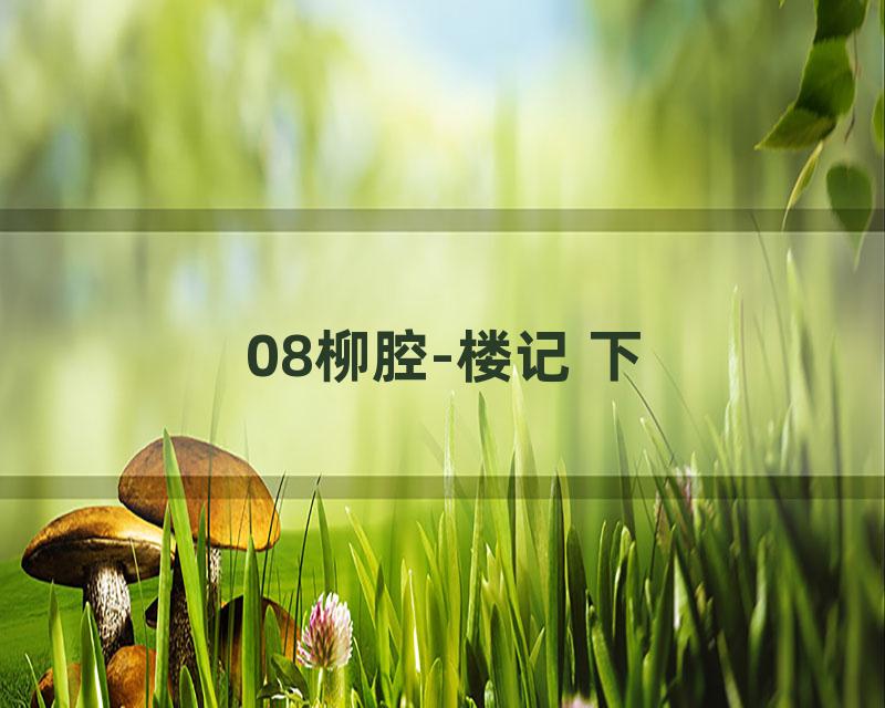 08柳腔-楼记 下