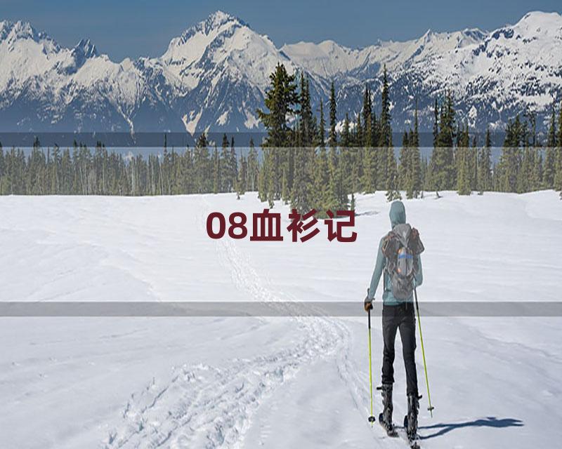 08血衫记