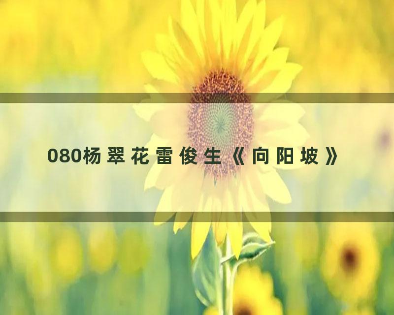 080杨翠花雷俊生《向阳坡》