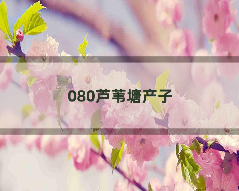 080芦苇塘产子