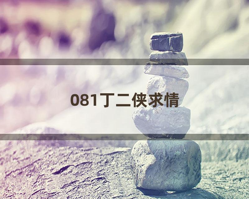 081丁二侠求情