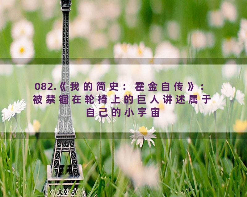 082.《我的简史：霍金自传》：被禁锢在轮椅上的巨人讲述属于自己的小宇宙