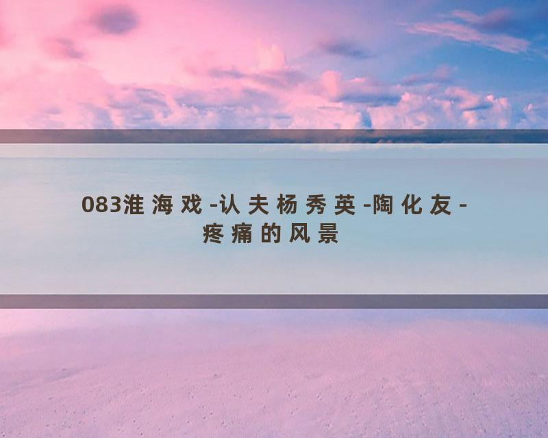 083淮海戏-认夫杨秀英-陶化友-疼痛的风景