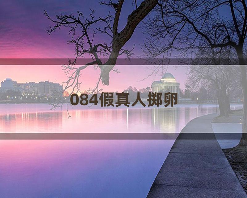 084假真人掷卵