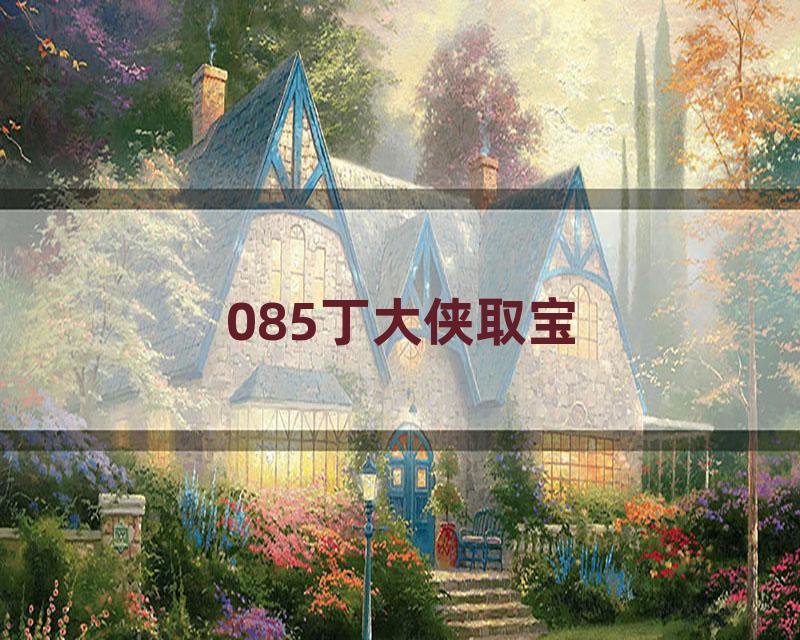 085丁大侠取宝