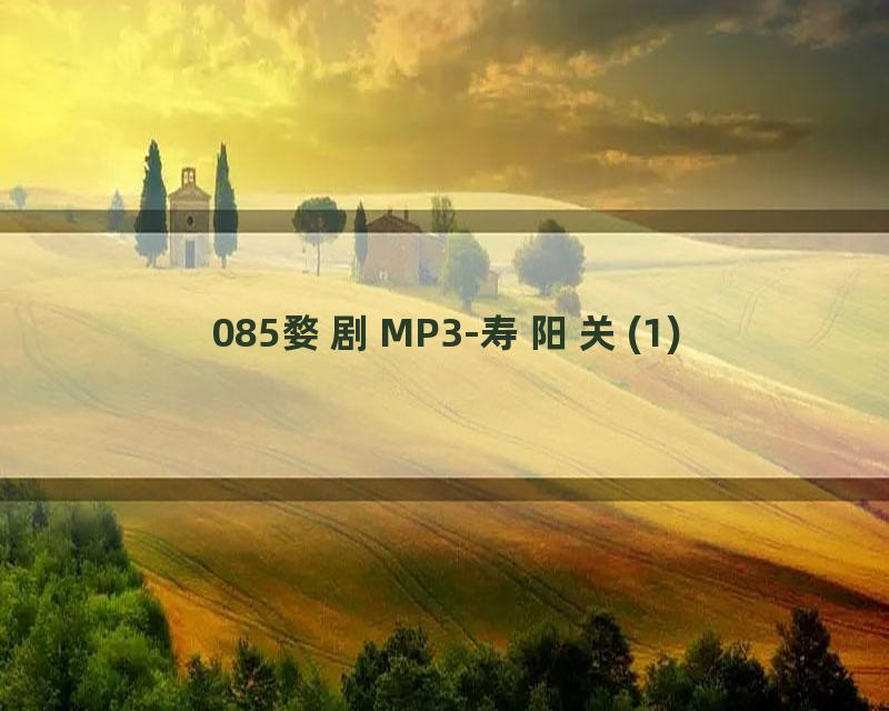 085婺剧MP3-寿阳关(1)