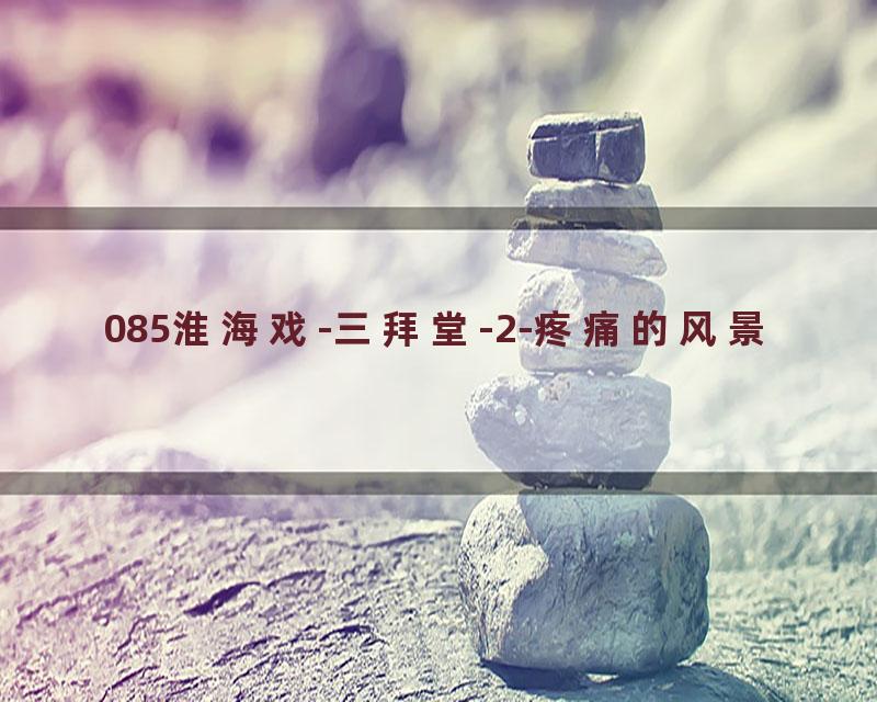 085淮海戏-三拜堂-2-疼痛的风景