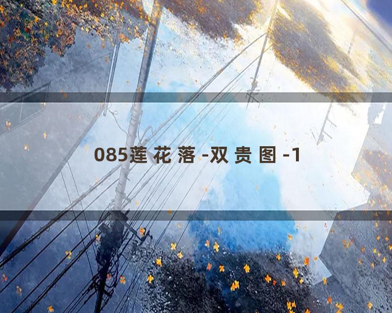085莲花落-双贵图-1