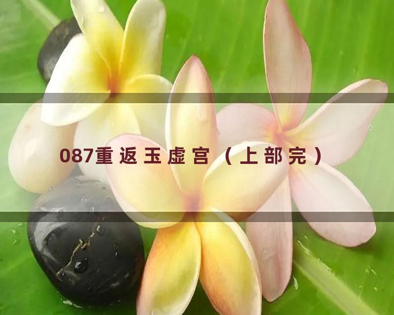087重返玉虚宫（上部完）