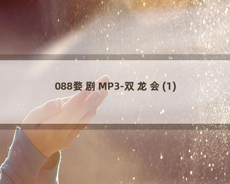 088婺剧MP3-双龙会(1)