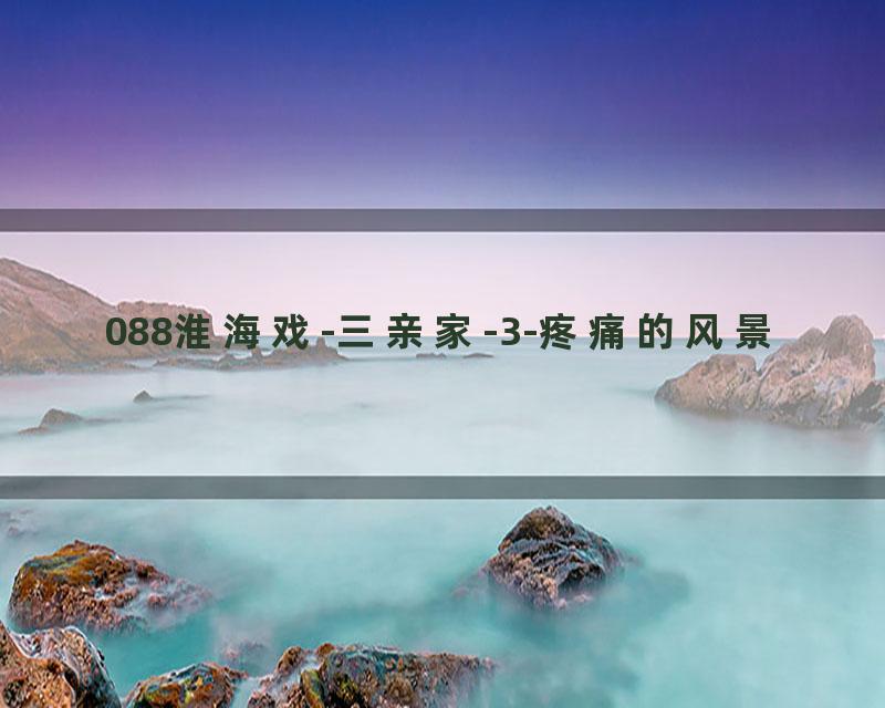 088淮海戏-三亲家-3-疼痛的风景