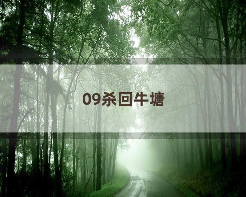 09杀回牛塘