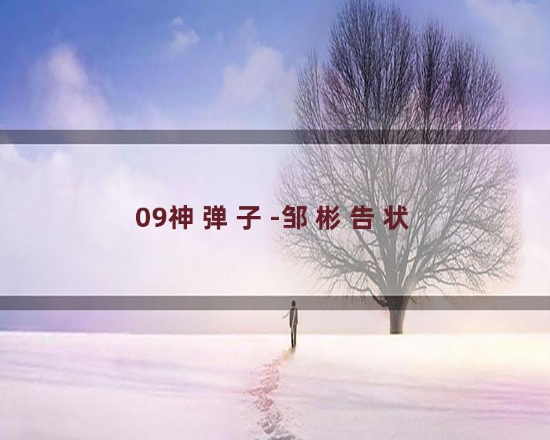 09神弹子-邹彬告状