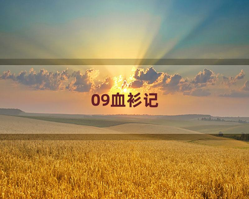 09血衫记