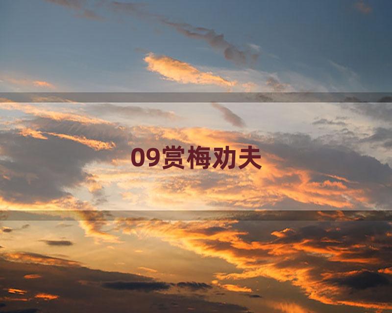 09赏梅劝夫