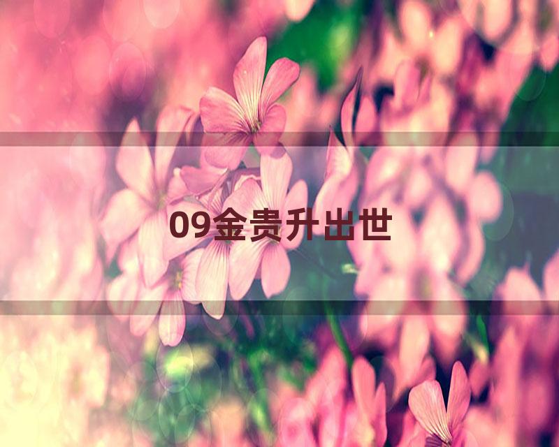 09金贵升出世