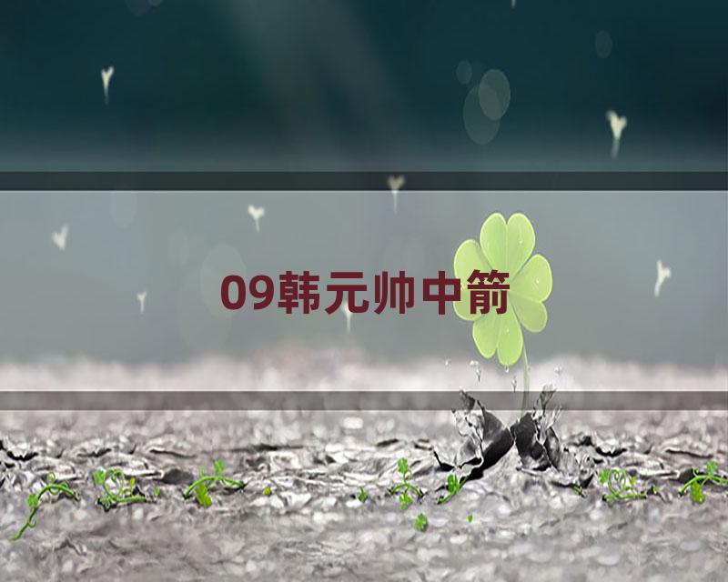 09韩元帅中箭