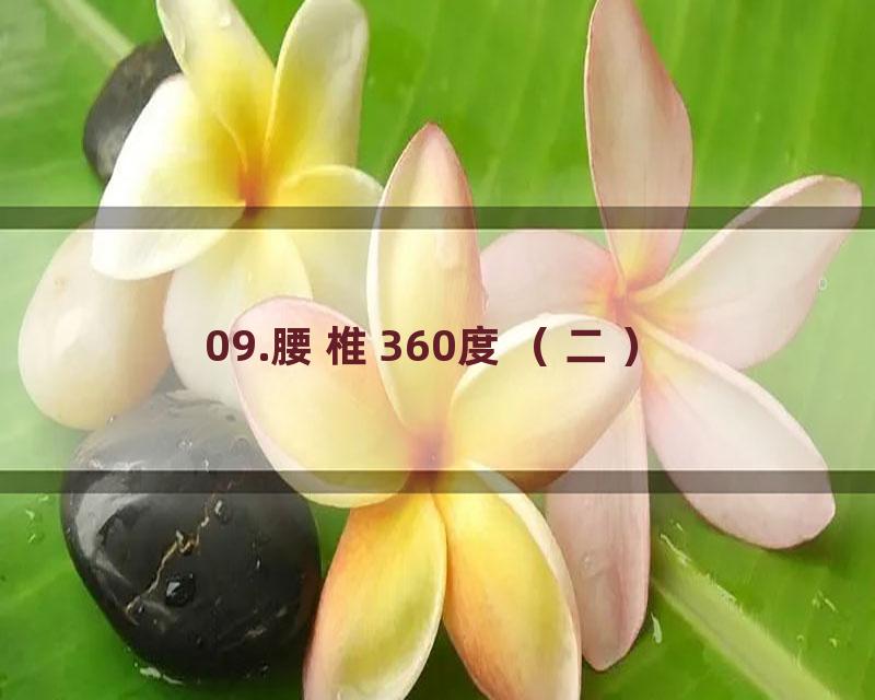 09.腰椎360度（二）