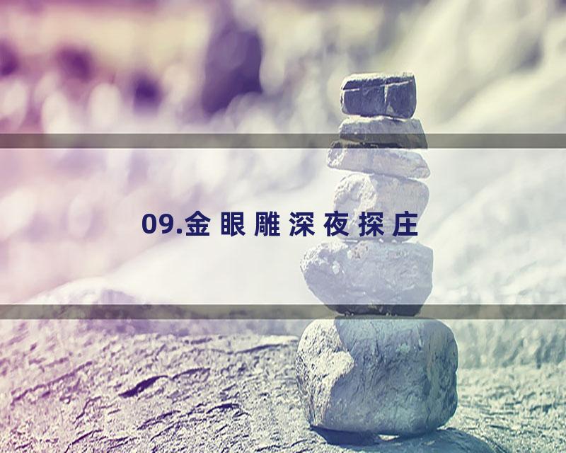09.金眼雕深夜探庄