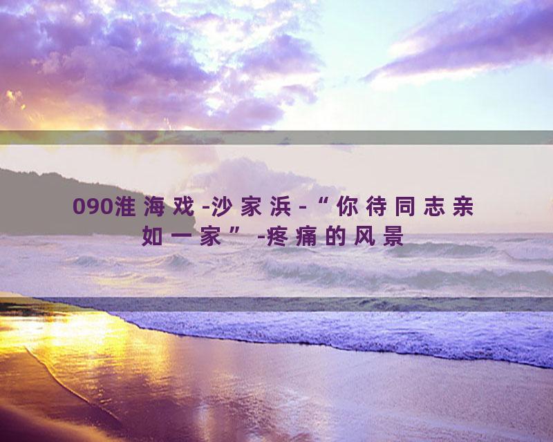 090淮海戏-沙家浜-“你待同志亲如一家”-疼痛的风景