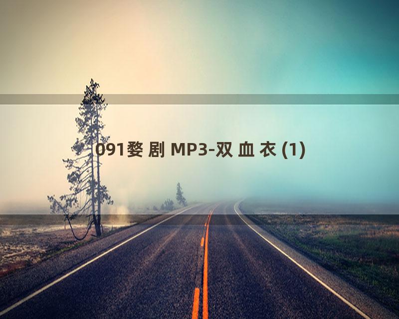 091婺剧MP3-双血衣(1)