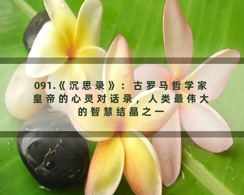 091.《沉思录》：古罗马哲学家皇帝的心灵对话录，人类最伟大的智慧结晶之一
