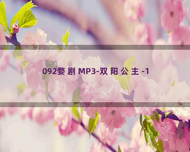092婺剧MP3-双阳公主-1