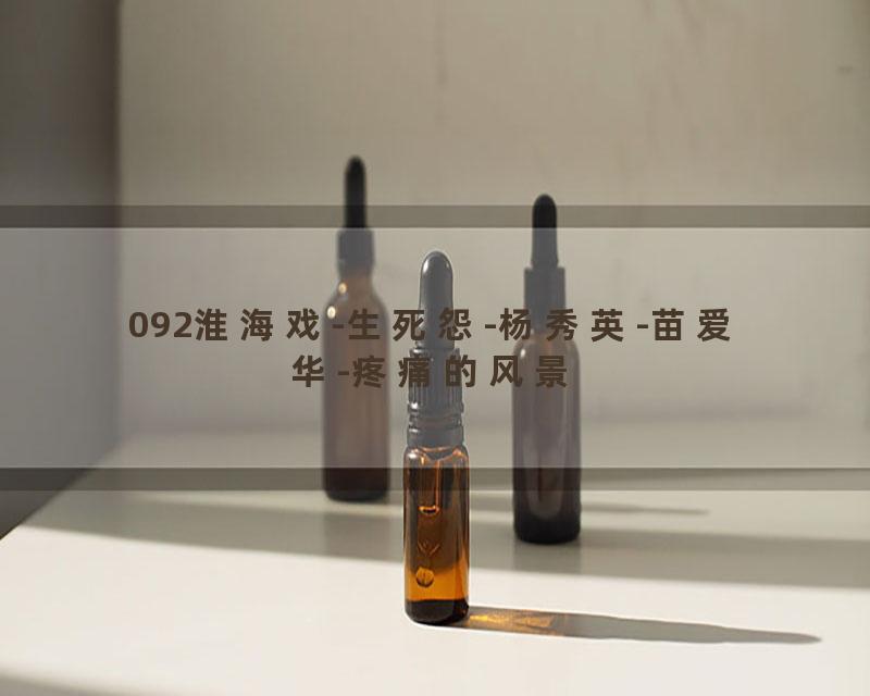 092淮海戏-生死怨-杨秀英-苗爱华-疼痛的风景