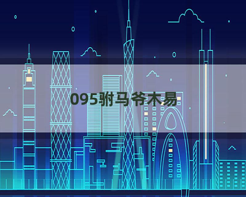 095驸马爷木易