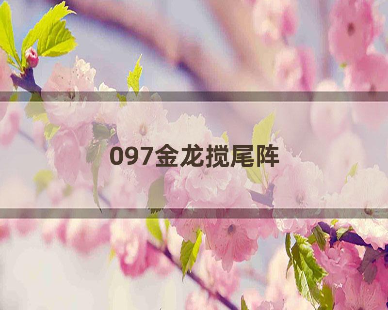 097金龙搅尾阵