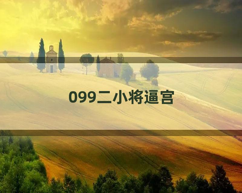 099二小将逼宫