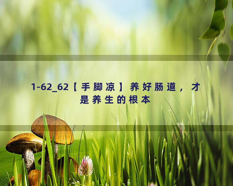 1-62_62【手脚凉】养好肠道，才是养生的根本