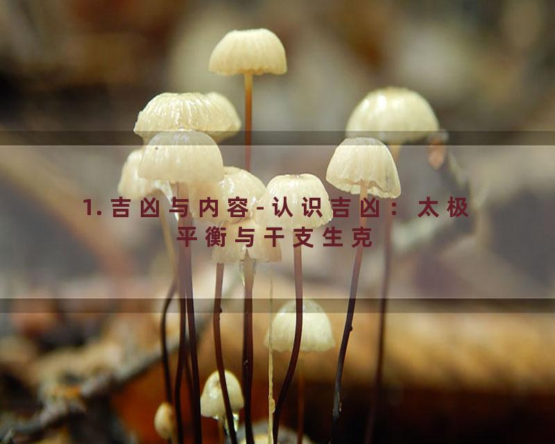 1. 吉凶与内容- 认识吉凶：太极平衡与干支生克