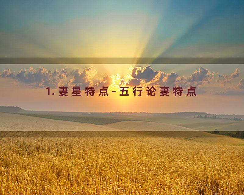1. 妻星特点- 五行论妻特点