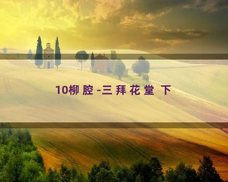 10柳腔-三拜花堂 下