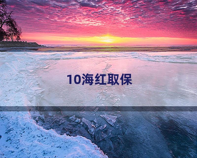 10海红取保