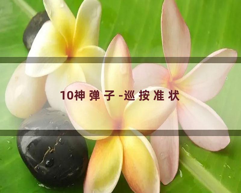 10神弹子-巡按准状