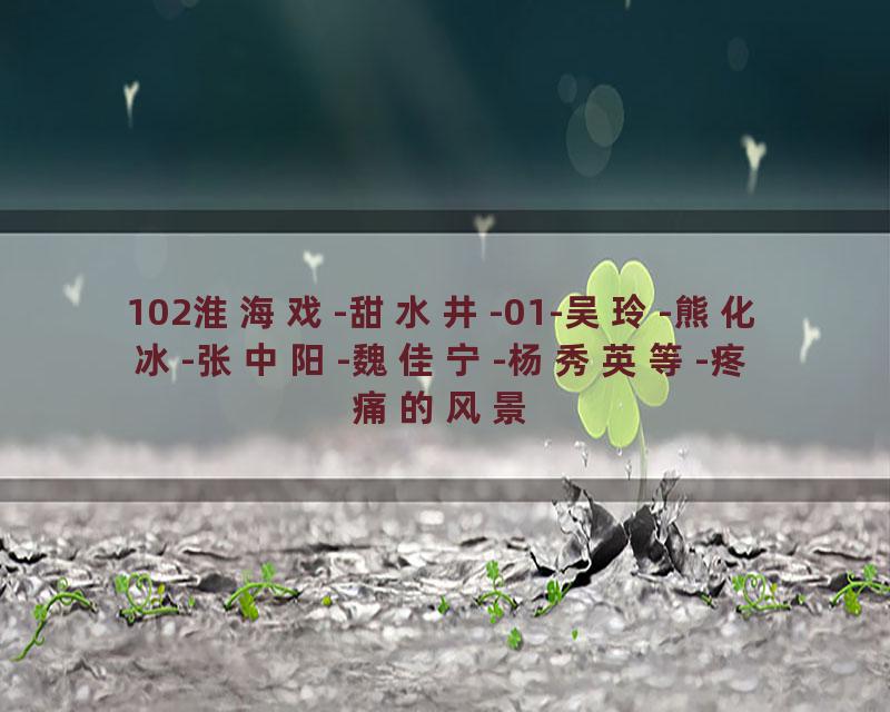 102淮海戏-甜水井-01-吴玲-熊化冰-张中阳-魏佳宁-杨秀英等-疼痛的风景