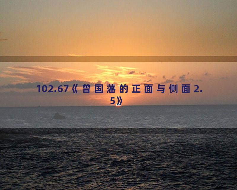 102.67《曾国藩的正面与侧面2.5》